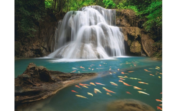 Фотообои FTP-4-01-00003 Лесной водопад у озера с рыбками