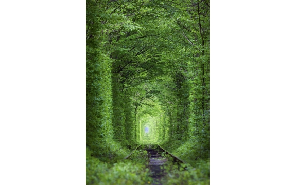 Фотообои FTP-2-01-00007 Природная арка в лесу с перспективой