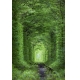 Фотообои FTP-2-01-00007 Природная арка в лесу с перспективой №1