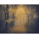 Фотообои FTP-4-01-00013 Лес в тумане, осенние деревья №1