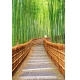 Фотообои FTP-2-01-00020 Лестница в бамбуковом лесу №1
