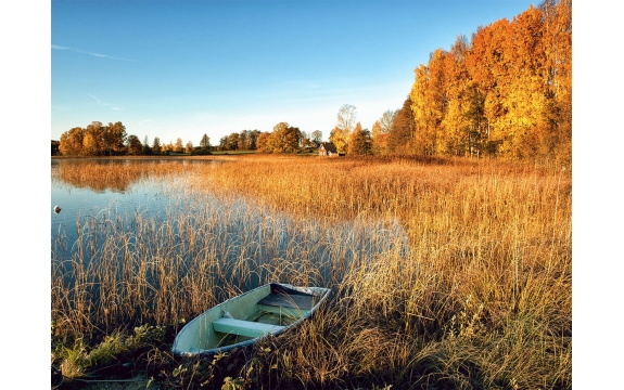 Фотообои FTP-4-01-00028 Приода осень, лодочка на озере в лесу