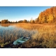 Фотообои FTP-4-01-00028 Приода осень, лодочка на озере в лесу №1