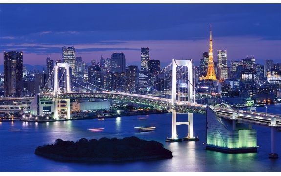 Фотообои FTP-5-02-00010 Панорама ночного города Токио, Япония