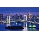 Фотообои FTP-5-02-00010 Панорама ночного города Токио, Япония №1