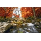 Фотообои FTXL-01-00078 Водопад и река в осеннем лесу №1