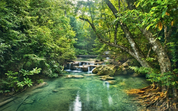 Фотообои FTXL-01-00079 Лес в тропиках, небольшой водопад в джунглях