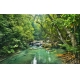 Фотообои FTXL-01-00079 Лес в тропиках, небольшой водопад в джунглях №1