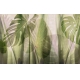 Фотообои FTXL-01-00080 Листья монстеры и тропических растений №1