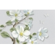 Фотообои 3D FTXL-06-00022 Белые цветы магнолии №1