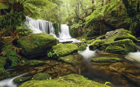 Фотообои FTXL-01-00082 Водопад в джунглях, природа тропиков