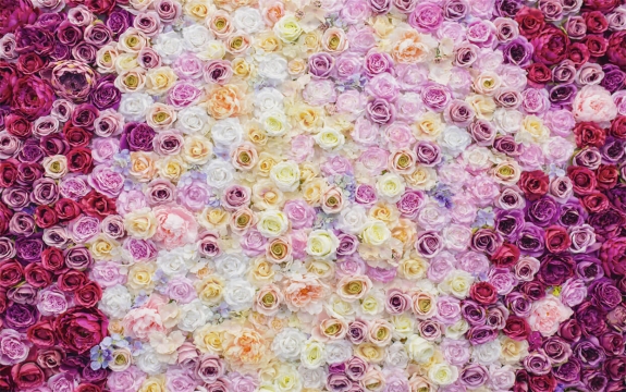 Фотообои FTXL-06-00026 Нежные розы в обрамлении ярких красных роз