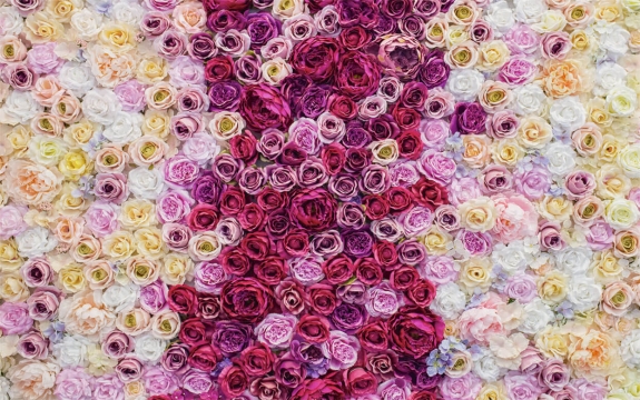 Фотообои FTXL-06-00027 Розы и пионы, композиция из цветов