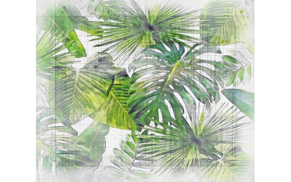 Фотообои FTX-01-00013 Тропические листья монстеры в стиле карандашного рисунка