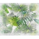 Фотообои FTX-01-00013 Тропические листья монстеры в стиле карандашного рисунка №1