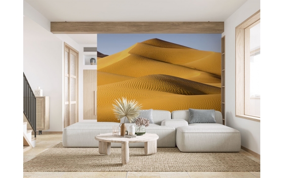 Фотообои FTX-01-00014 Пустыня, песочные дюны Африки №1