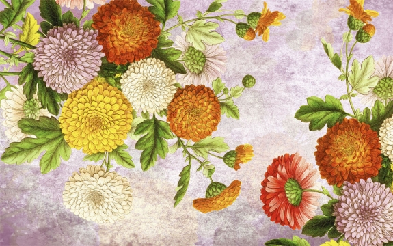 Фотообои FTXL-06-00029 Цветы маргаритки, яркий цветочный сюжет