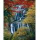 Фотообои FTVV-01-00028 Осенний водопад в лесу, природа осенью №1