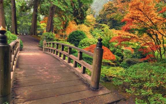 Фотообои FTXL-01-00094 Деревянный мостик в осеннем лесу, японский сад