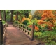 Фотообои FTXL-01-00094 Деревянный мостик в осеннем лесу, японский сад №1