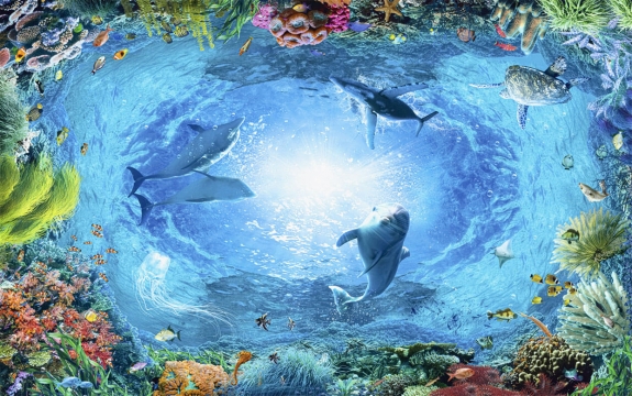 Фотообои FTXL-03-00003 Подводный мир кораллового рифа под фреску, дельфины в море
