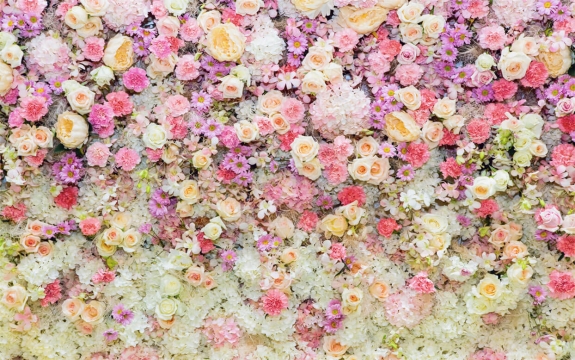 Фотообои FTXL-06-00036 Стена из цветов роз и маргариток