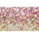 Фотообои FTXL-06-00036 Стена из цветов роз и маргариток №1