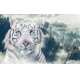 Фотообои MXL-00200 Тигр на фоне туманного леса №1