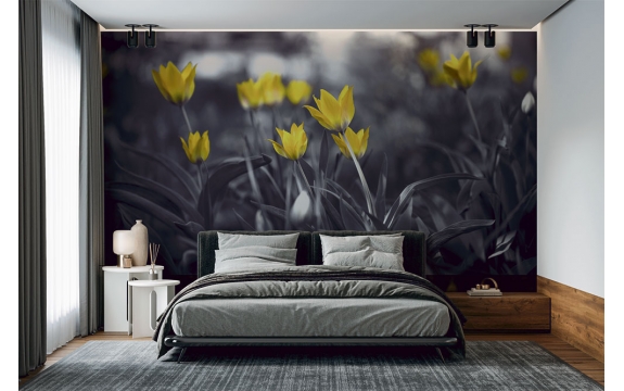 Фотообои MXL-00060 Желтые тюльпаны в черно-белых тонах №1