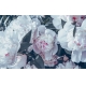 Фотообои MXL-00064 Цветы пионов в черно-белом стиле №1