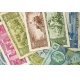 Фотообои FTL-18-00001 Старые бразильские деньги №1