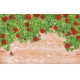 Фотообои 3D FTXL-09-00230 Кирпичная стена с красными розами №1
