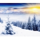 Фотообои FTX-01-00016 Туманные снежные горы, зимний лес на закате №1