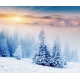 Фотообои FTX-01-00017 Рассвет над зимним лесом в горах №1
