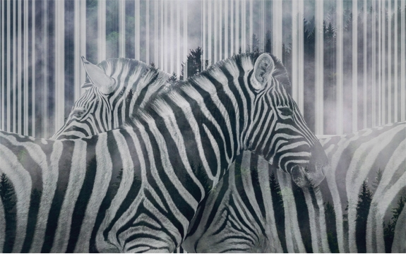 Фотообои FTXL-03-00011 Зебры в стиле абстракции, лес в тумане, лошади
