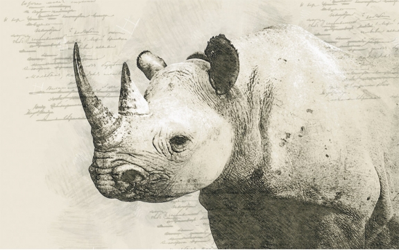Фотообои FTXL-03-00007 Носорог в стиле рисунка