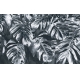 Фотообои FTXL-01-00116 Серебряная монстера, свисающие листья №1