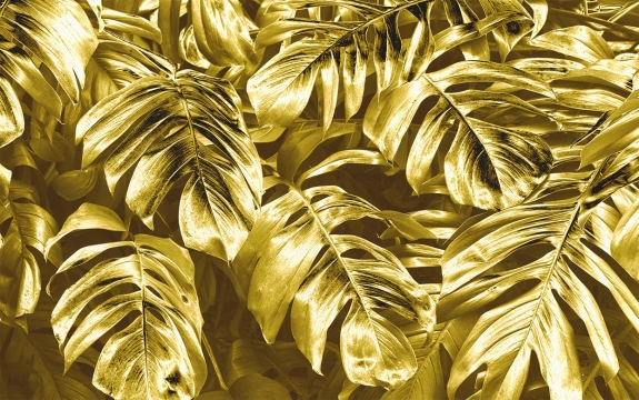 Фотообои FTXL-01-00114 Золотые листья монстеры