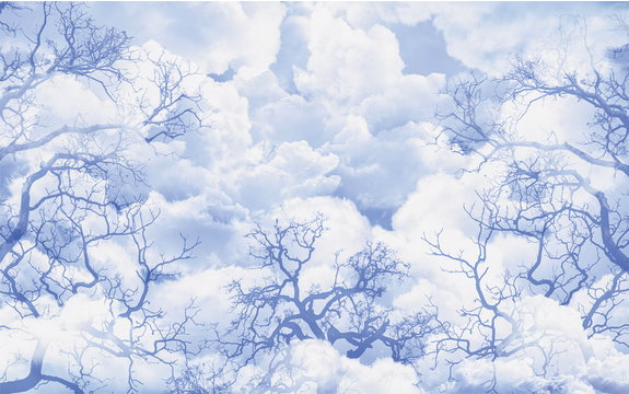 Фотообои MXL-00084 Силуэты деревьев на фоне облаков