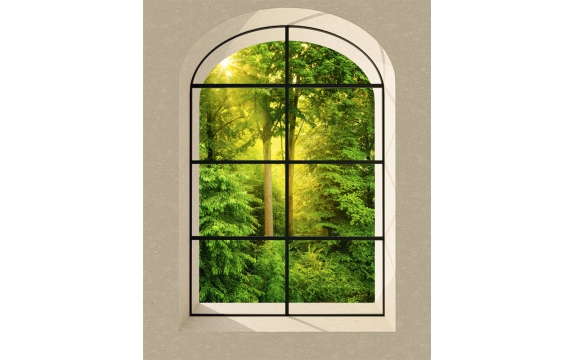 Фотообои MVV-00043 Окно 3D с видом на солнечный лес