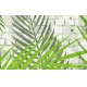 Фотообои MXL-00150 Пальмовые листья на кирпичной стене №2