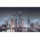 Фотообои FTXL-02-00034 Черно-белый ночной город Дубай №1