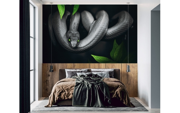 Фотообои FTL-03-00018 Зеленоглазая змея в черно-белом №1