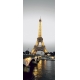 Фотообои FTV-04-00036 Ночная Эйфелева башня, Париж черно-белых тонах №1