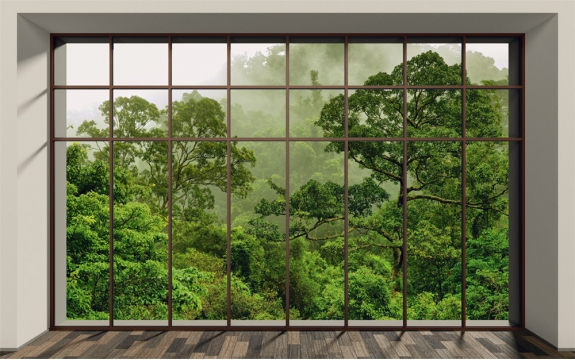 Фотообои MXL-00164 3Д вид из окна на туманный лес, природа после дождя, расширяющие пространство