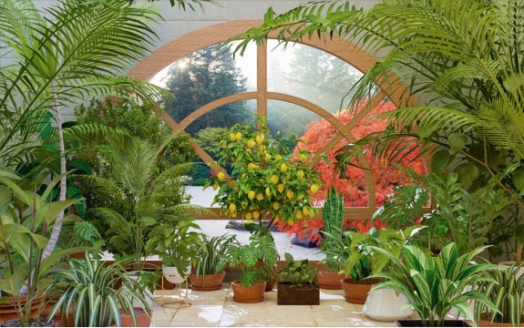 Фотообои MXL-00178 Окно в тропическом зимнем саду