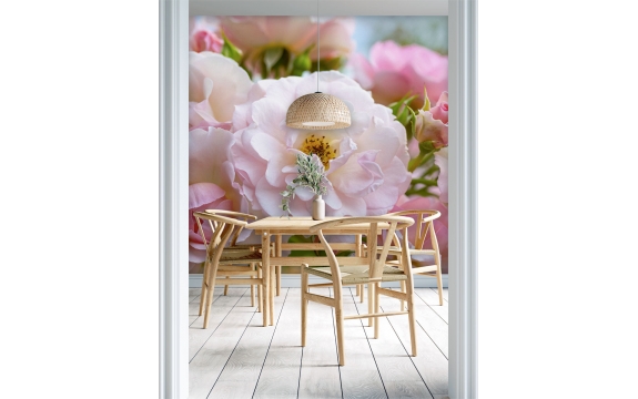 Фотообои MXL-00181 Розы в саду, крупные цветы в розовых тонах №1