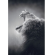 Фотообои FTP-2-03-00001 Рычащий лев в черно-белом стиле №1