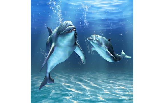 Фотообои FTP-3-03-00007 Дельфины в море, подводный мир