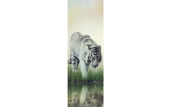 Фотообои FTP-1-03-00009 Белый тигр на озере